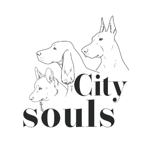 City Souls